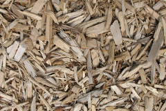 biomass boilers Llancynfelyn