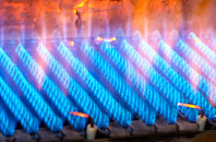 Llancynfelyn gas fired boilers